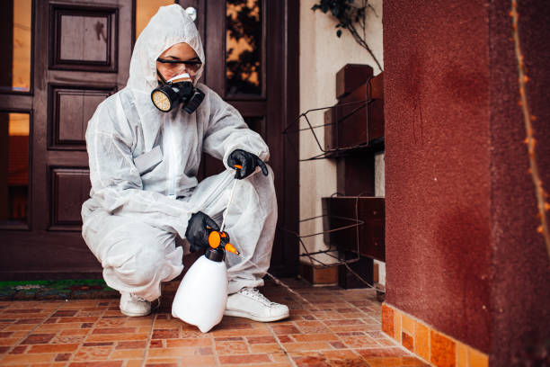 Attic and Crawl Space Rodent Treatment in Shell Knob