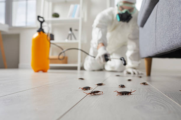 Commercial Rodent Management in Shell Knob